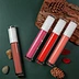 Cosmetic Makeup Waterproof Lip Gloss